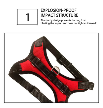 alishop:51e8207edda3