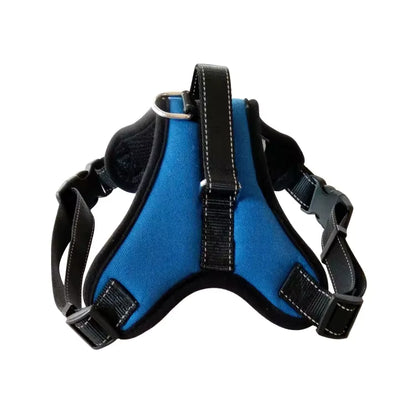 alishop:253ab9ee6059