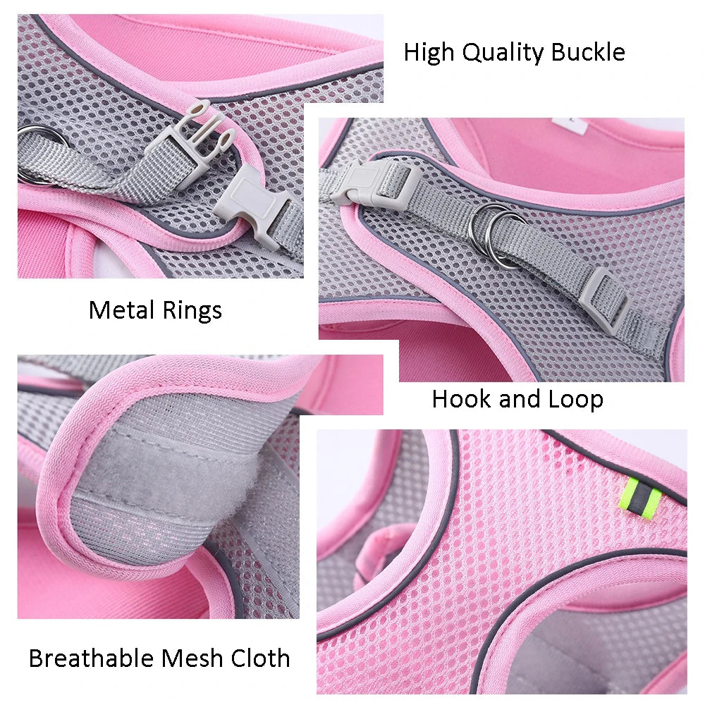 alishop:561fa5ad519a