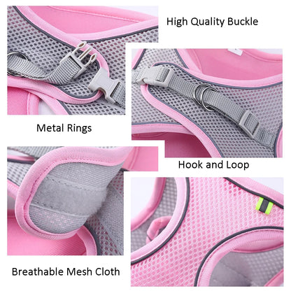 alishop:561fa5ad519a