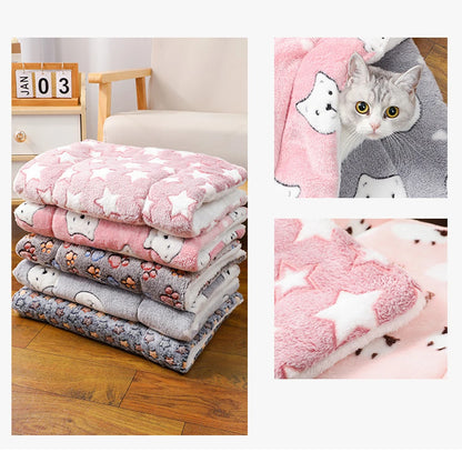 alishop:f29b7105876e